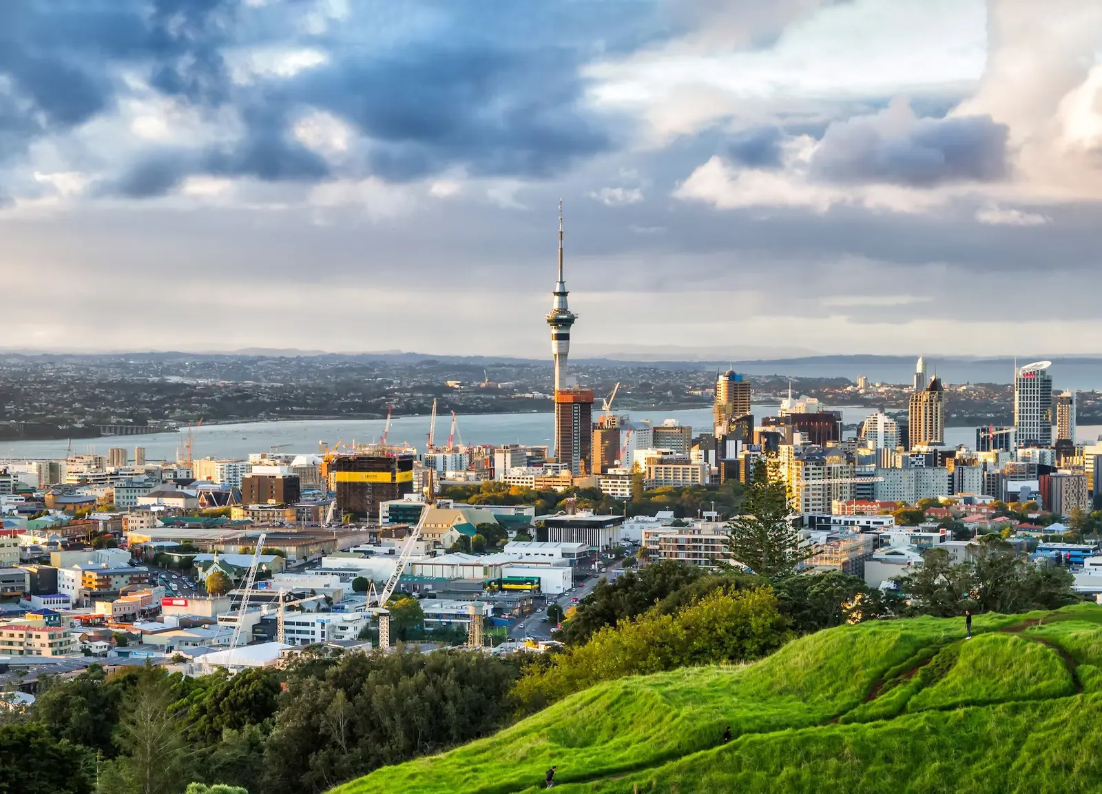 Auckland con la Sky Tower